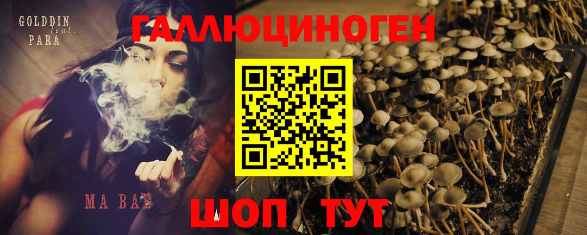 Псилоцибиновые грибы Cubensis Янаул